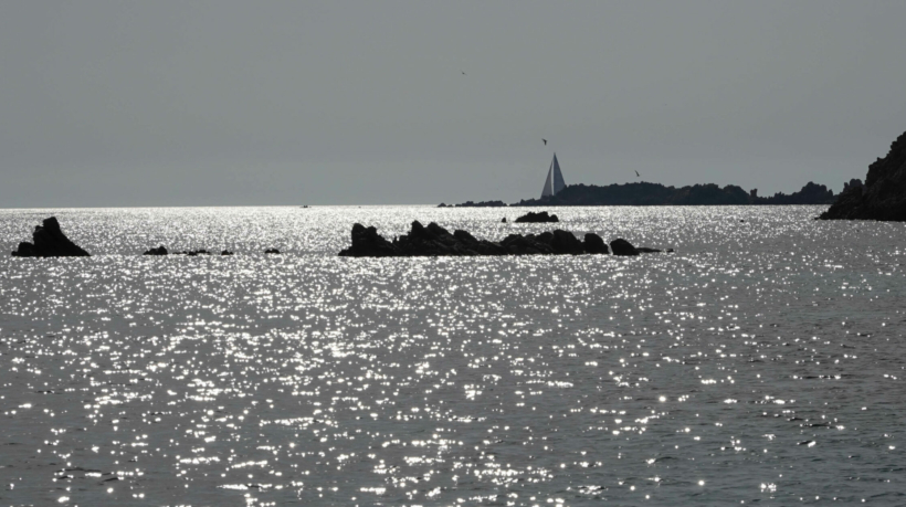 DSC04367